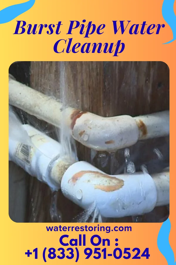 Burst Pipe Water Cleanup in Wildwood, TN