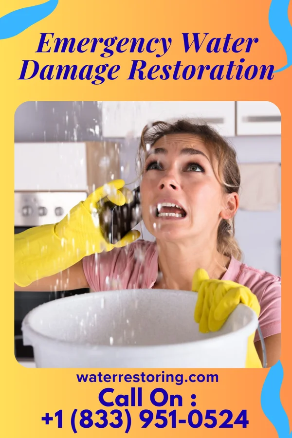 Emergency Water Damage Restoration in Wildwood, TN