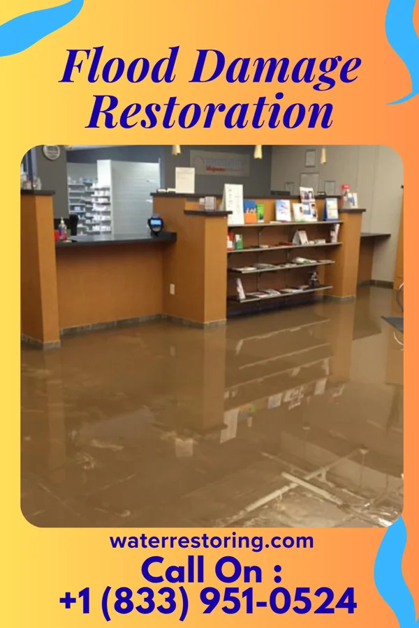 Flood Damage Restoration in Wildwood, TN