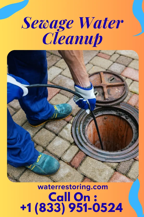 Sewage Water Cleanup in Wildwood, TN